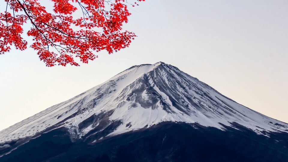 1 1 10